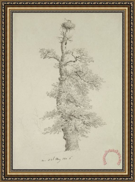 Caspar David Friedrich Ancient Oak Tree With A Storks Nest Framed Print Caspar David Friedrich Ancient Oak Tree With A Storks Nest Framed Print