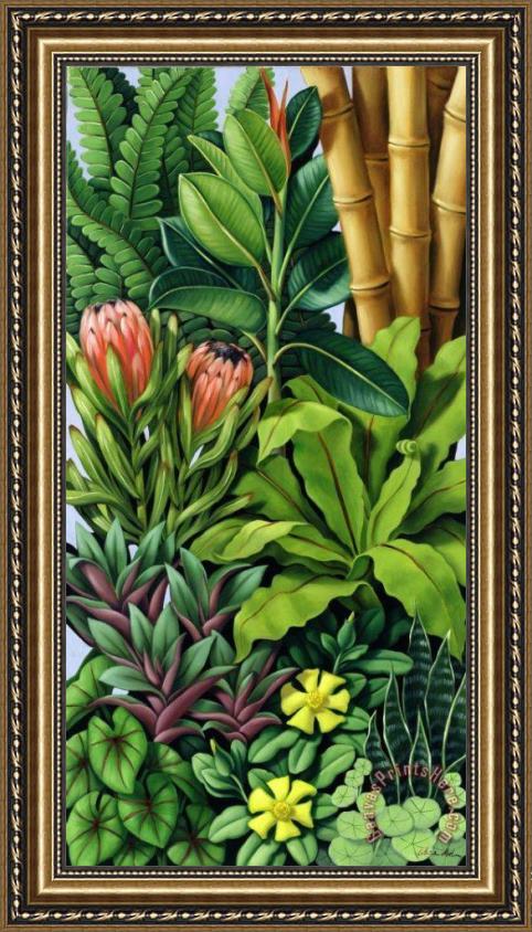 Catherine Abel Foliage III Framed Print Catherine Abel Foliage III Framed Print