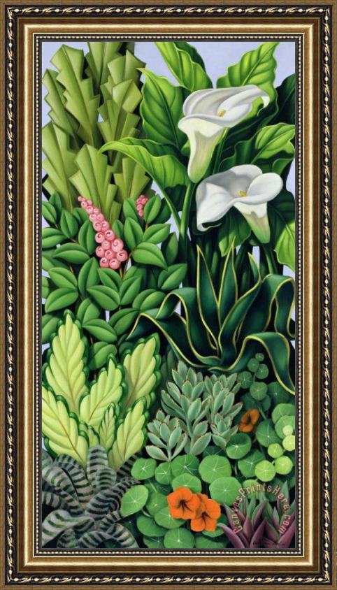 Catherine Abel Foliage Framed Print Catherine Abel Foliage Framed Print