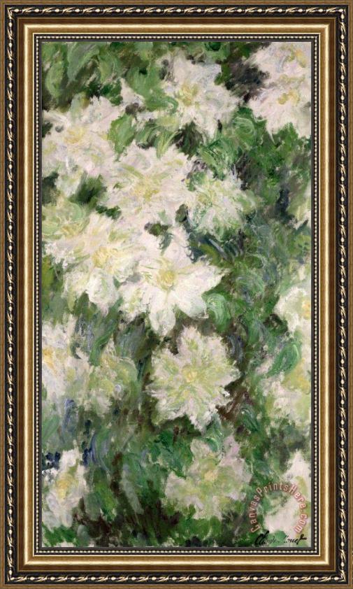 Claude Monet White Clematis Framed Print Claude Monet White Clematis Framed Print