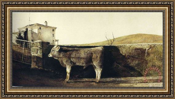 Collection Young Bull Framed Print Collection Young Bull Framed Print
