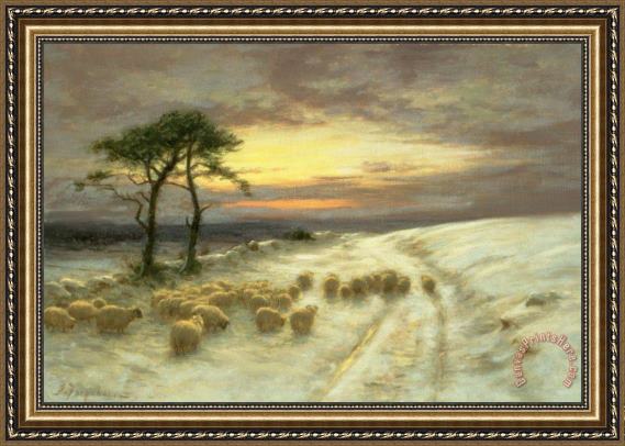 Joseph Farquharson Sheep in the Snow Framed Print Joseph Farquharson Sheep in the Snow Framed Print
