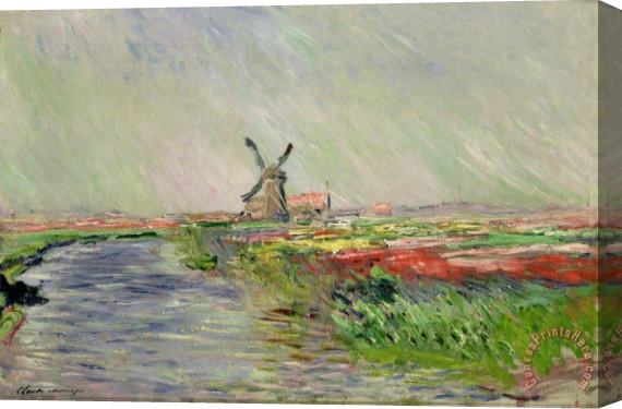 Claude Monet Tulip Field in Holland Stretched Canvas Painting / Canvas Art Claude Monet Tulip Field in Holland Stretched Canvas Painting / Canvas Art