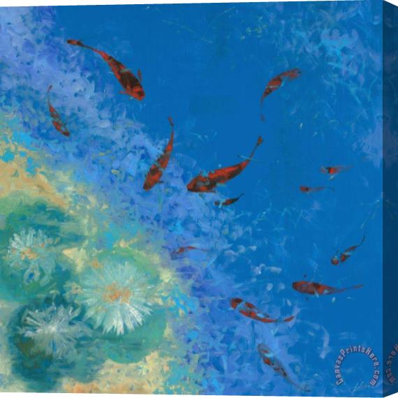 Collection 7 13 Pesciolini Rossi Stretched Canvas Painting / Canvas Art Collection 7 13 Pesciolini Rossi Stretched Canvas Painting / Canvas Art