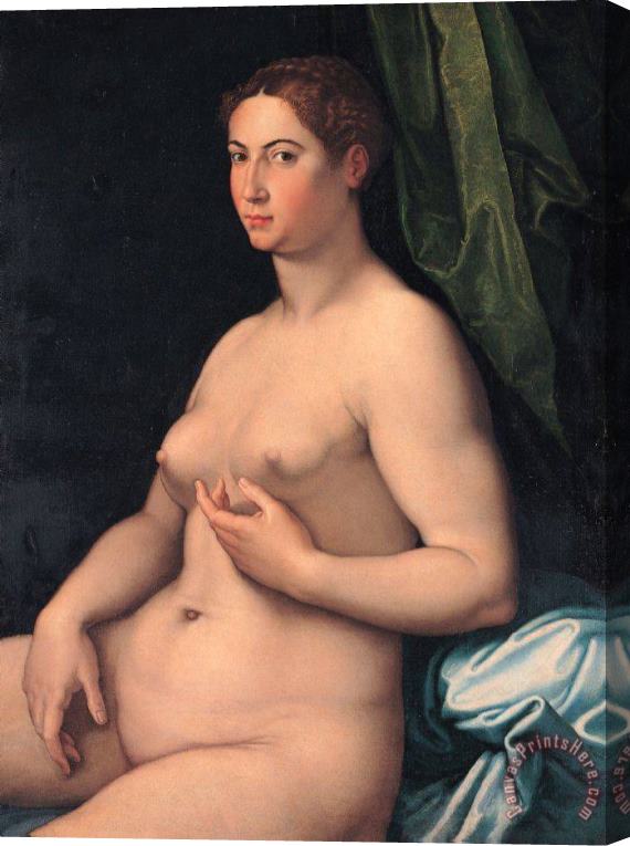 Girolamo Siciolante da Sermoneta A Seated Female Stretched Canvas Print / Canvas Art Girolamo Siciolante da Sermoneta A Seated Female Stretched Canvas Print / Canvas Art
