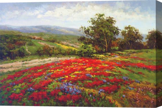 Hulsey Campo Di Fiore II Stretched Canvas Print / Canvas Art Hulsey Campo Di Fiore II Stretched Canvas Print / Canvas Art