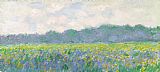 Claude Monet - Field of Yellow Irises at Giverny painting