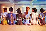 Collection - Pink Floyd Back Catalogue painting