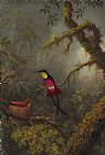A Pair of Nesting Crimson Topaz Hummingbirds by Martin Johnson Heade