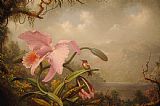 Martin Johnson Heade - Orchid And Hummingbird painting