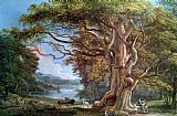 An Ancient Beech Tree by Paul Sandby