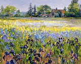 Irises and Two Fir Trees by Timothy Easton