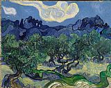 Vincent van Gogh - The Olive Trees painting