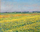 Field of Yellow Irises at Giverny Prints - The Plain of Gennevilliers, Yellow Fields by Gustave Caillebotte