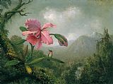Martin Johnson Heade Prints - orchid and hummingbird near a mountain waterfall by Martin Johnson Heade
