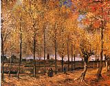 Vincent van Gogh Poplar Avenue at Nuenen