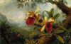 Martin Johnson Heade