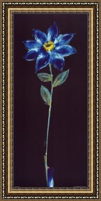 Round Midnight Framed Prints - Midnight Blue Daisy Panel by alfred gockel