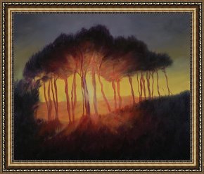 Wild Boar Framed Prints - Wild Trees at Sunset by Antonia Myatt
