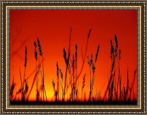 Sundown Framed Paintings - Sign of the Time by Blair Wainman