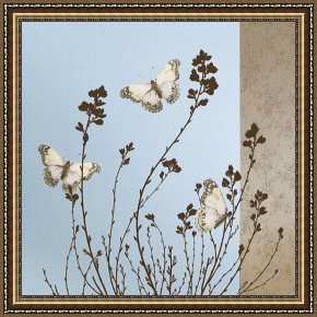 Evocation of Butterflies Framed Paintings - Butterflies by Caroline Gold