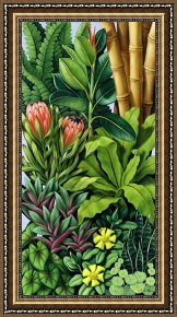 Catherine (b.1966) (contemporary Artist) Framed Prints - Foliage III by Catherine Abel