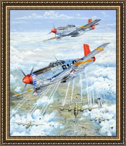 Charles Framed Prints - Red Tail 61 by Charles Taylor