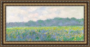 Claude Monet Framed Prints - Field of Yellow Irises at Giverny by Claude Monet