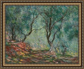 Tree Framed Prints - Olive Trees in the Moreno Garden by Claude Monet