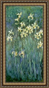 Claude Monet Framed Prints - The Yellow Irises by Claude Monet