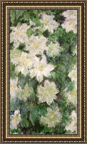 Meadow Angels - White Poppies Framed Prints - White Clematis by Claude Monet