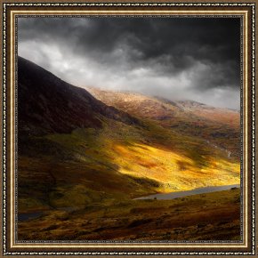 Eden Framed Paintings - Eden by Collection 11