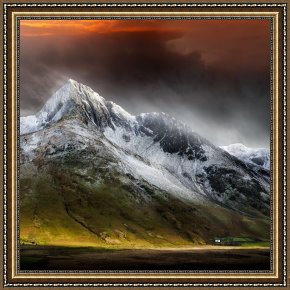 Beauty Framed Paintings - Profound Beauty by Collection 11