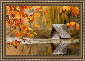 Ducks Framed Paintings - Duck's House by Collection 12