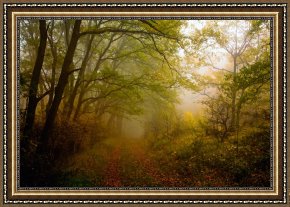 The Fairy Feller's Masterstroke Framed Prints - Fairy Wood by Collection 12