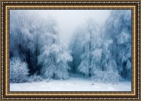 Cold Framed Paintings - Frozen Forest by Collection 12