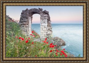 The Brandenburg Gate Berlin Framed Paintings - Gate in the Poppies by Collection 12