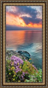 Wild Boar Framed Prints - Wild Thyme by the Sea by Collection 12