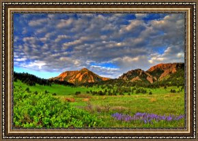 Spring Framed Prints - Boulder Spring Wildflowers by Collection 14