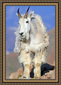 Execution Without Trial Under The Moorish Kings in Granada Framed Paintings - King of The Mountain by Collection 14