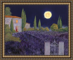 Collection 5 Framed Prints - Lavanda Di Notte by Collection 7