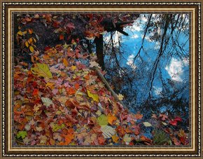 Reflections of Portofino Framed Prints - Autumn reflections by Collection 8