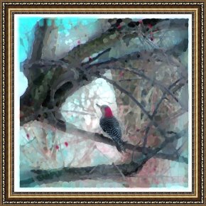 Perfect Framed Prints - Perfect view by Collection 8