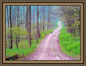 The Green Sail Framed Prints - Spring green by Collection 8