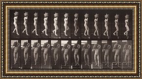 Animals Framed Prints - Animal Locomotion, Plate 136 by Eadweard J. Muybridge