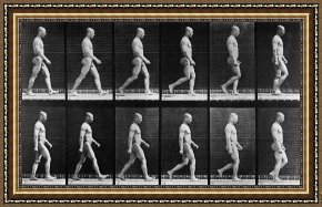 Walking The Plank Framed Paintings - Man Walking by Eadweard Muybridge