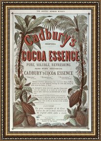 Advertisement Framed Prints - Advertisement For Cadburs Cocoa Essence From The Graphic by English School