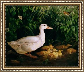 Ducks Framed Paintings - Duck and ducklings by English School