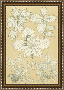 Leaves Framed Paintings - Leaves From Nature by English School