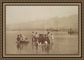 Newburyport Meadows Framed Prints - Water Rats by Frank Meadow Sutcliffe